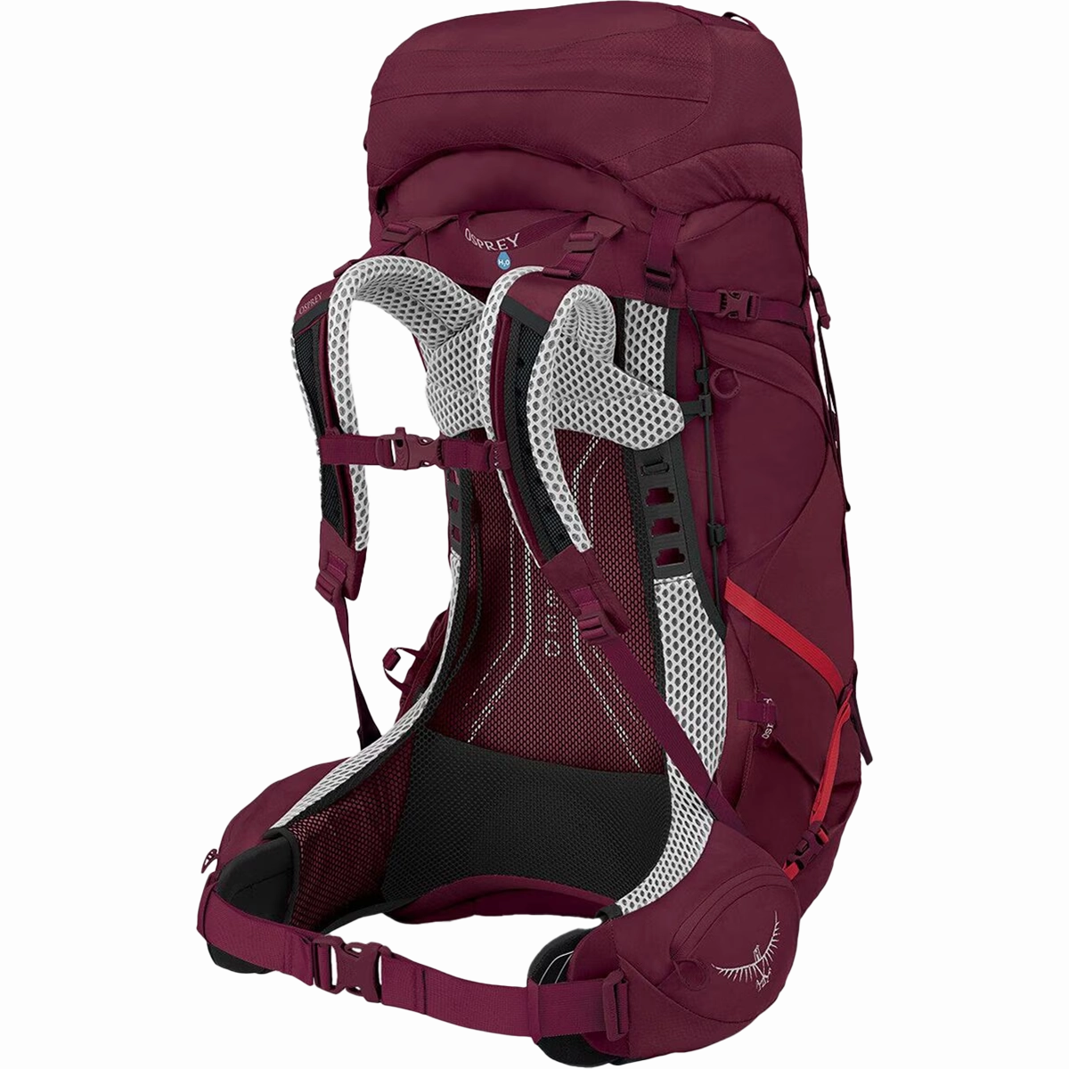 Discover the latest collection of Women's Aura AG LT 50 , all these Items hot sale with lowest price.
