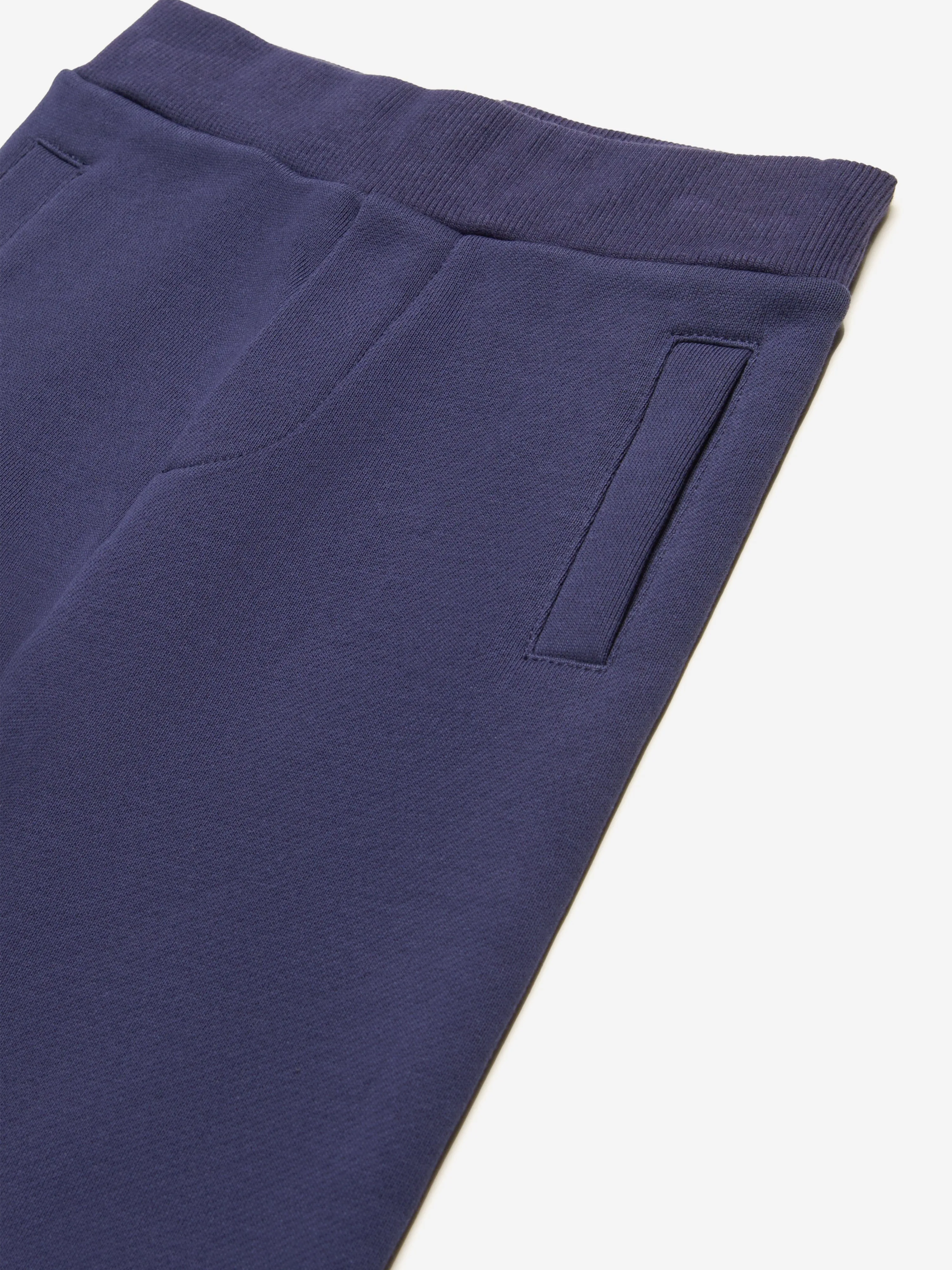 Baby Boys Logo Joggerhosen in Navy
