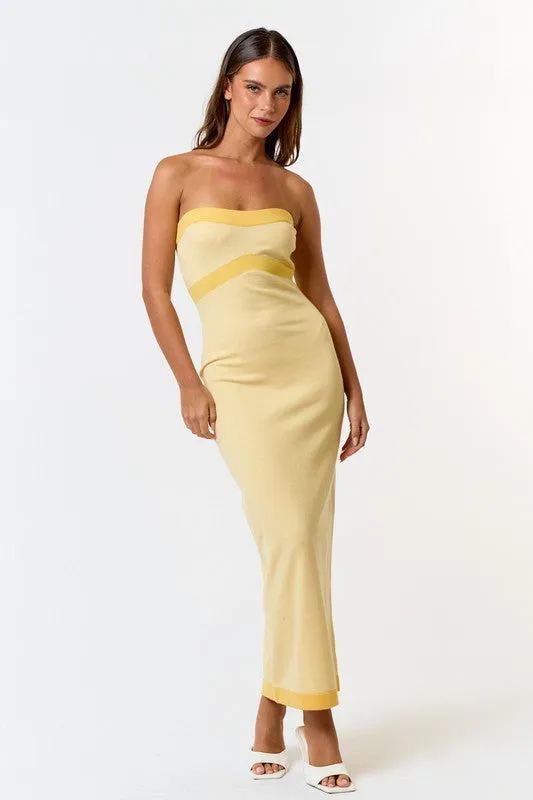 Bold Borderline Tube Maxi Dress - Medium