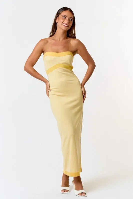 Bold Borderline Tube Maxi Dress - Medium