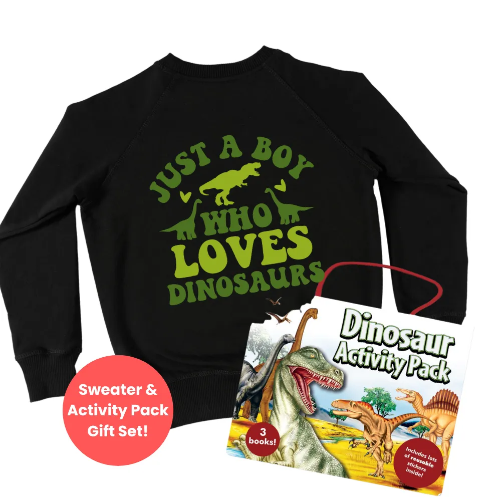 Boy Who Loves Dinosaurs Sweater & Activity Pack Gift Set boys fashion clearance