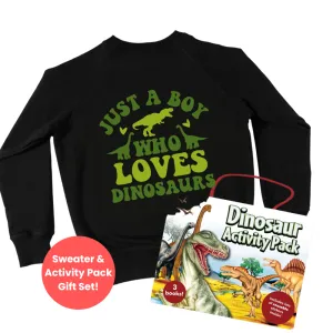 Boy Who Loves Dinosaurs Sweater & Activity Pack Gift Set boys fashion clearance