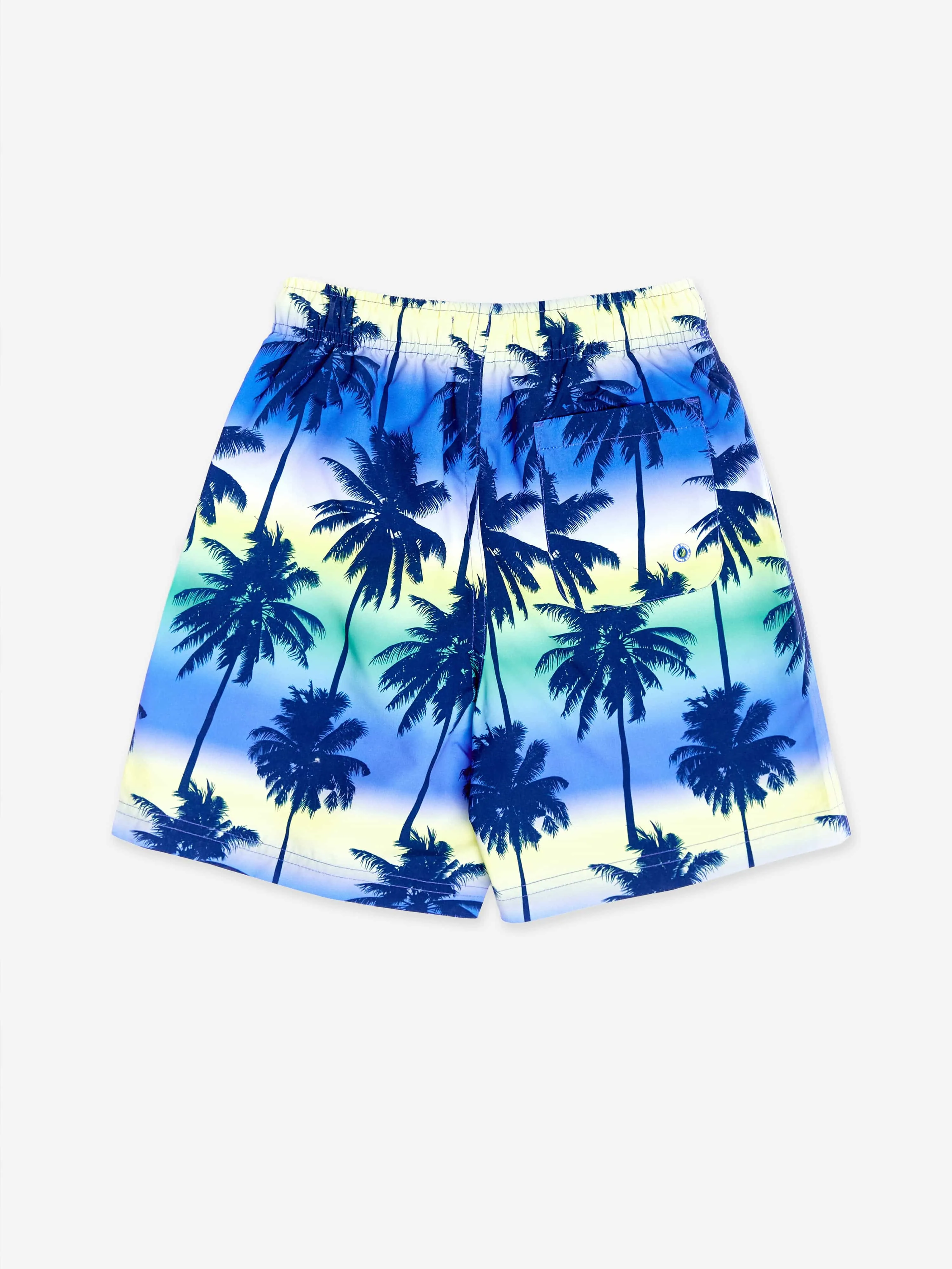 Jungen Palmenbaum Strandshorts in Blau (UPF50 )