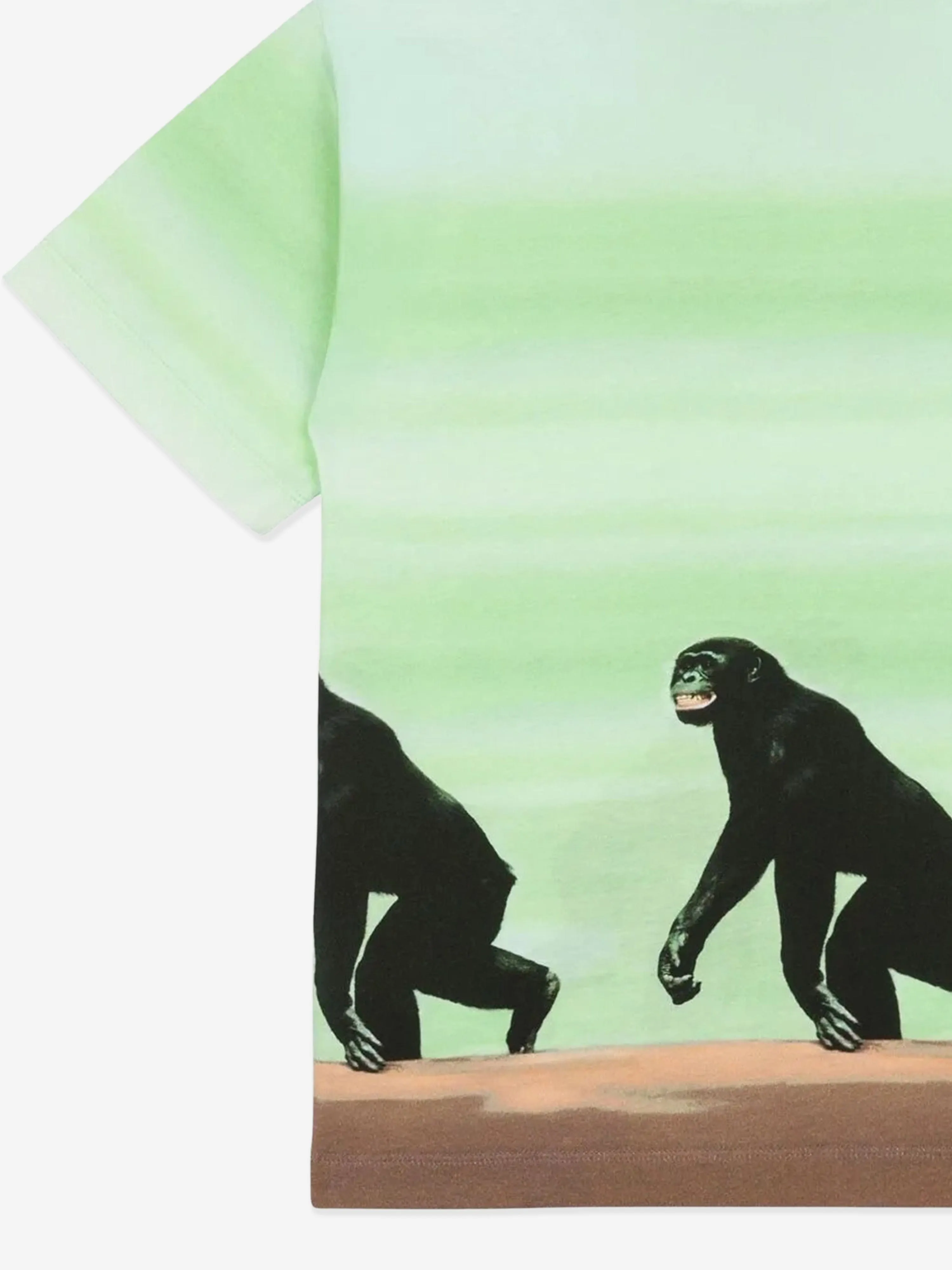 Grünes gestreiftes Affen-Print T-Shirt für Jungen