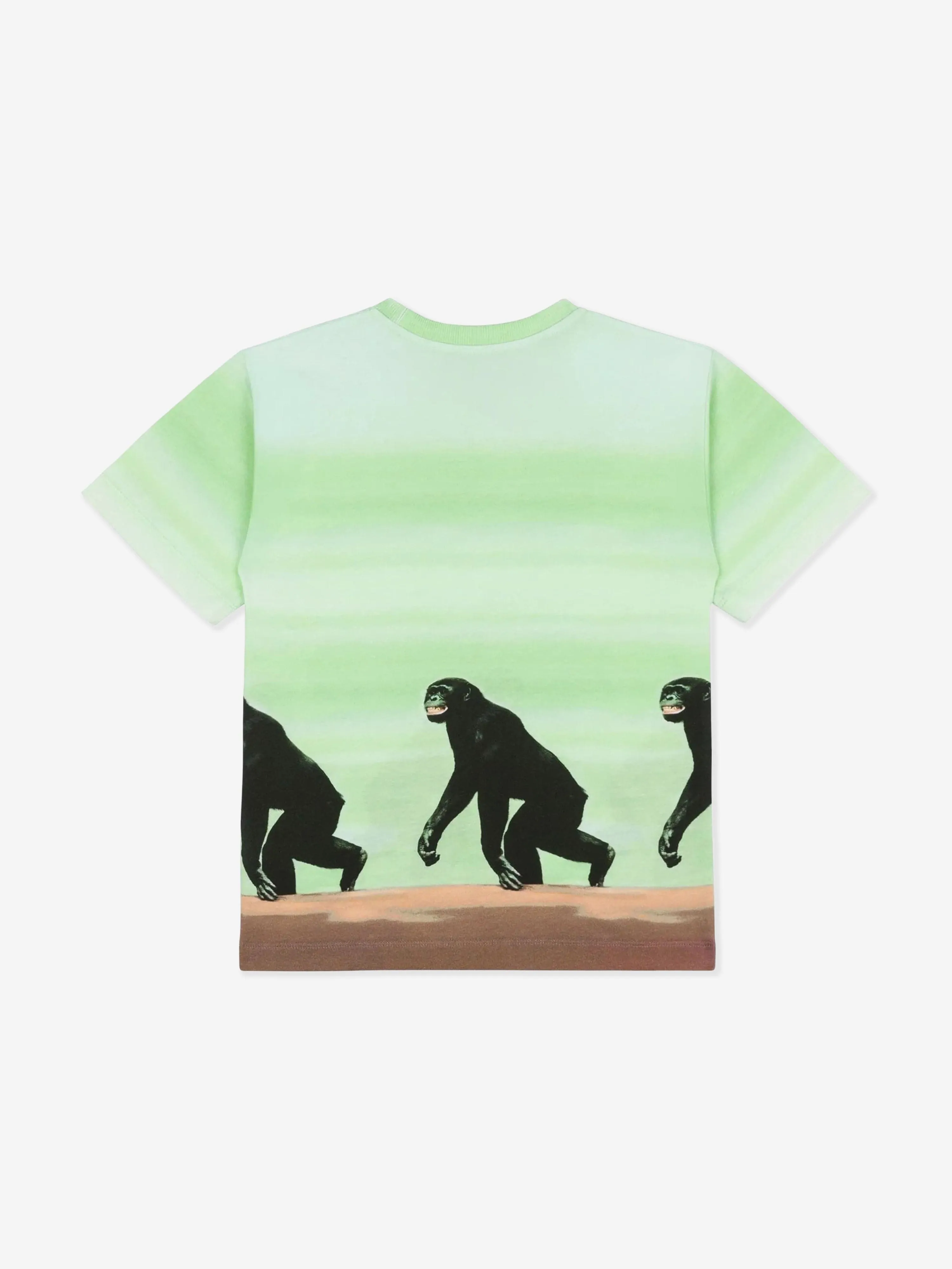 Grünes gestreiftes Affen-Print T-Shirt für Jungen