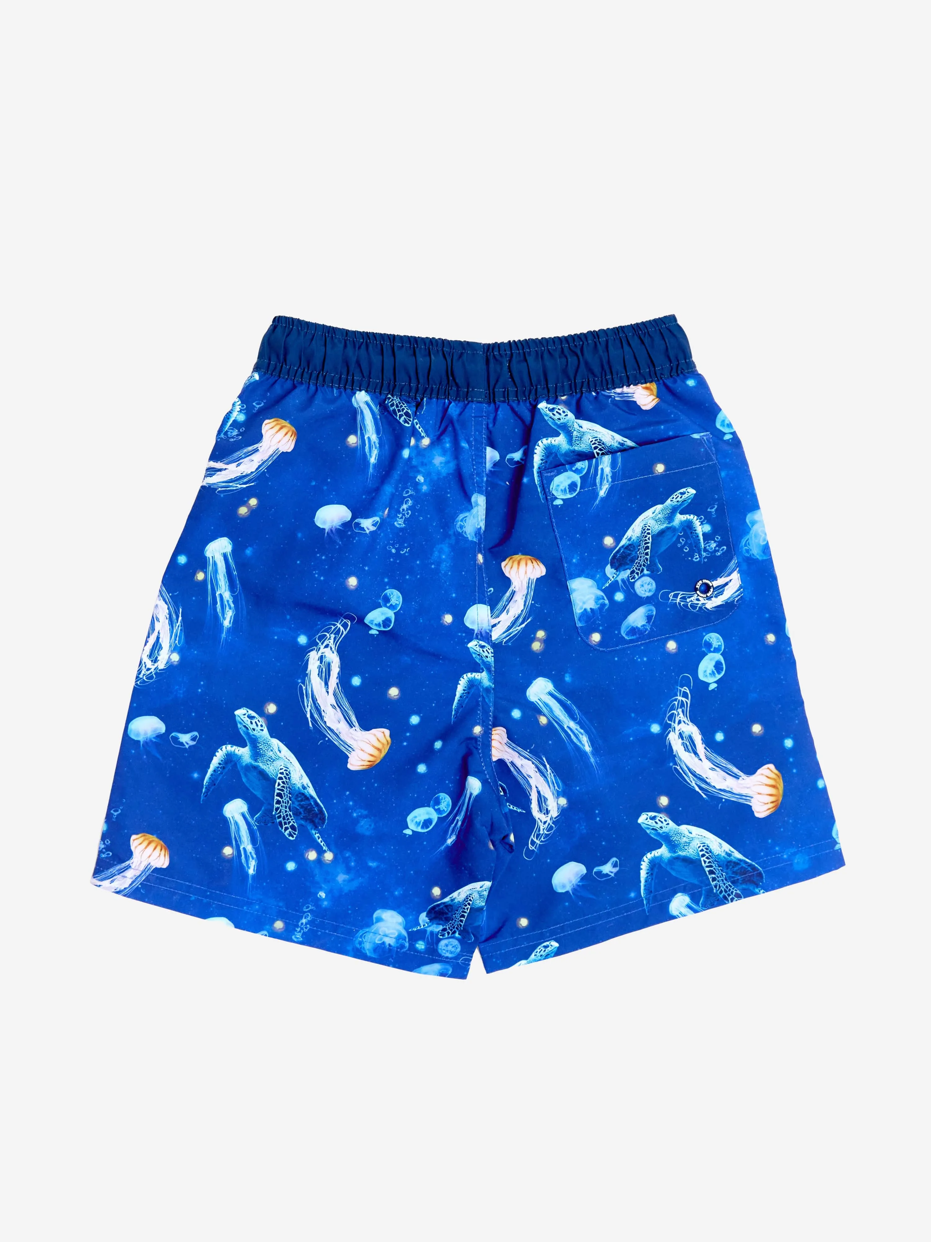 Jungen Turtle Beach Shorts in Blau (UPF50 )