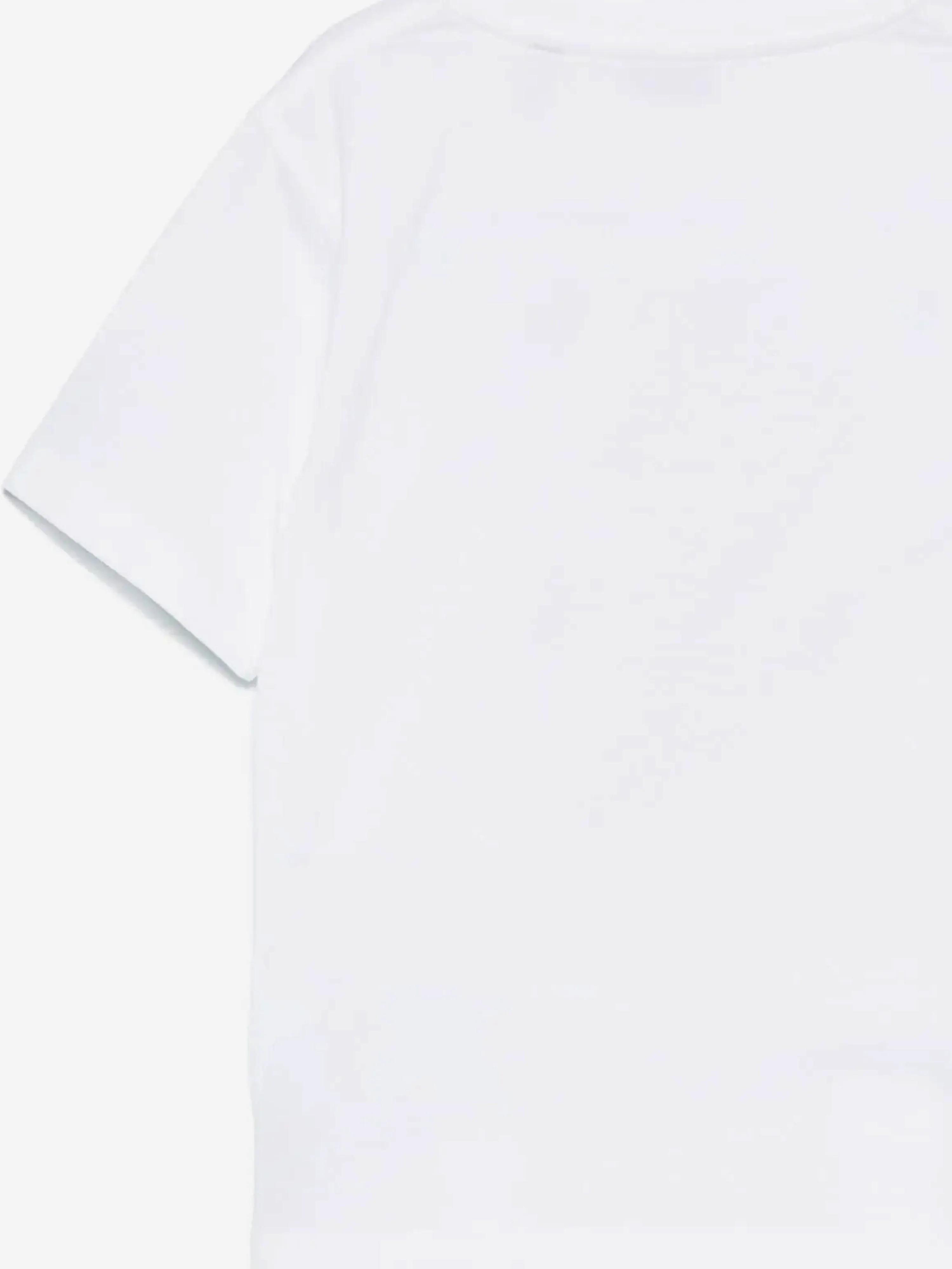 Burberry Kids Zedernbär Flag T-Shirt in Elfenbein