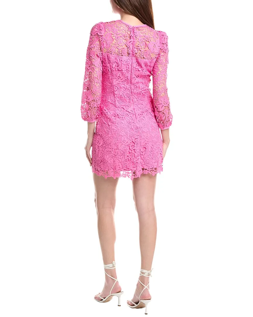 Endless Rose Lace Shift Dress