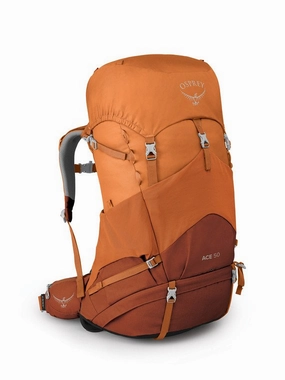 78%OFF Official Website Find Best Sellers Osprey Ace 50 Kid's Backpack w/raincover Online Store on our site, it is a good choice for your shopping, 100% quality.