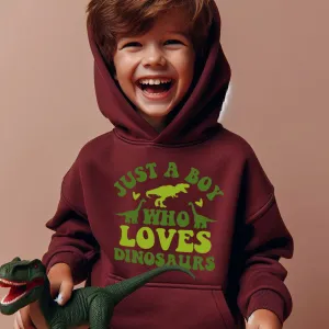 Just A Boy Who Loves Dinosaurs Hoodie boys fashion clearance