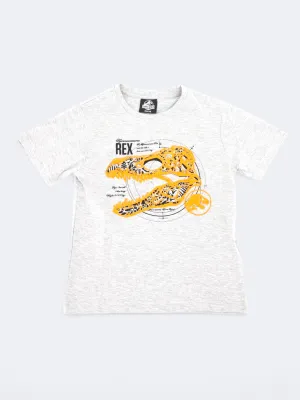 Kinder Jungen T-Shirt mit Grafikdruck, Grau