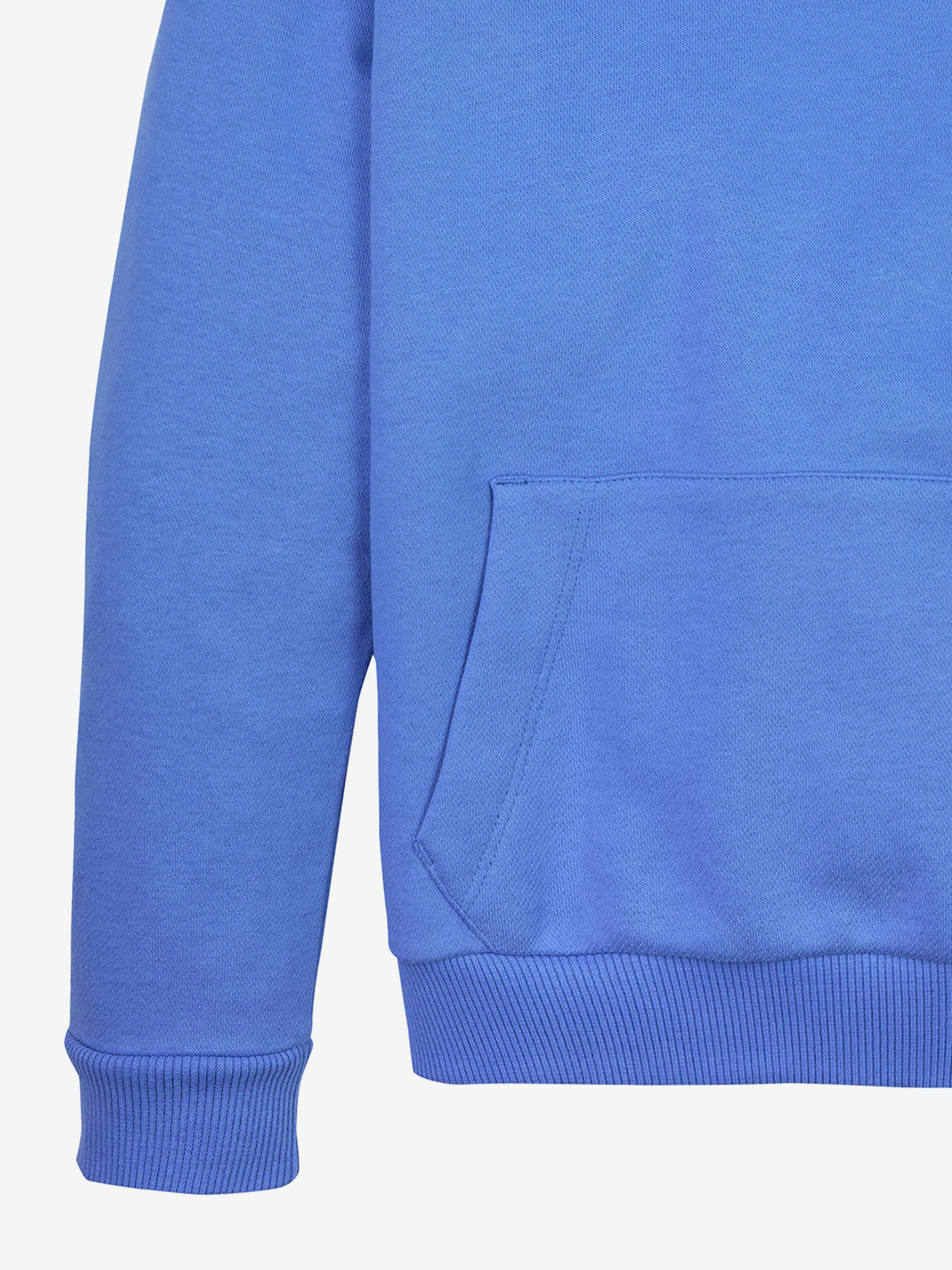 Kids Mini Corp Logo Hoodie in Blau