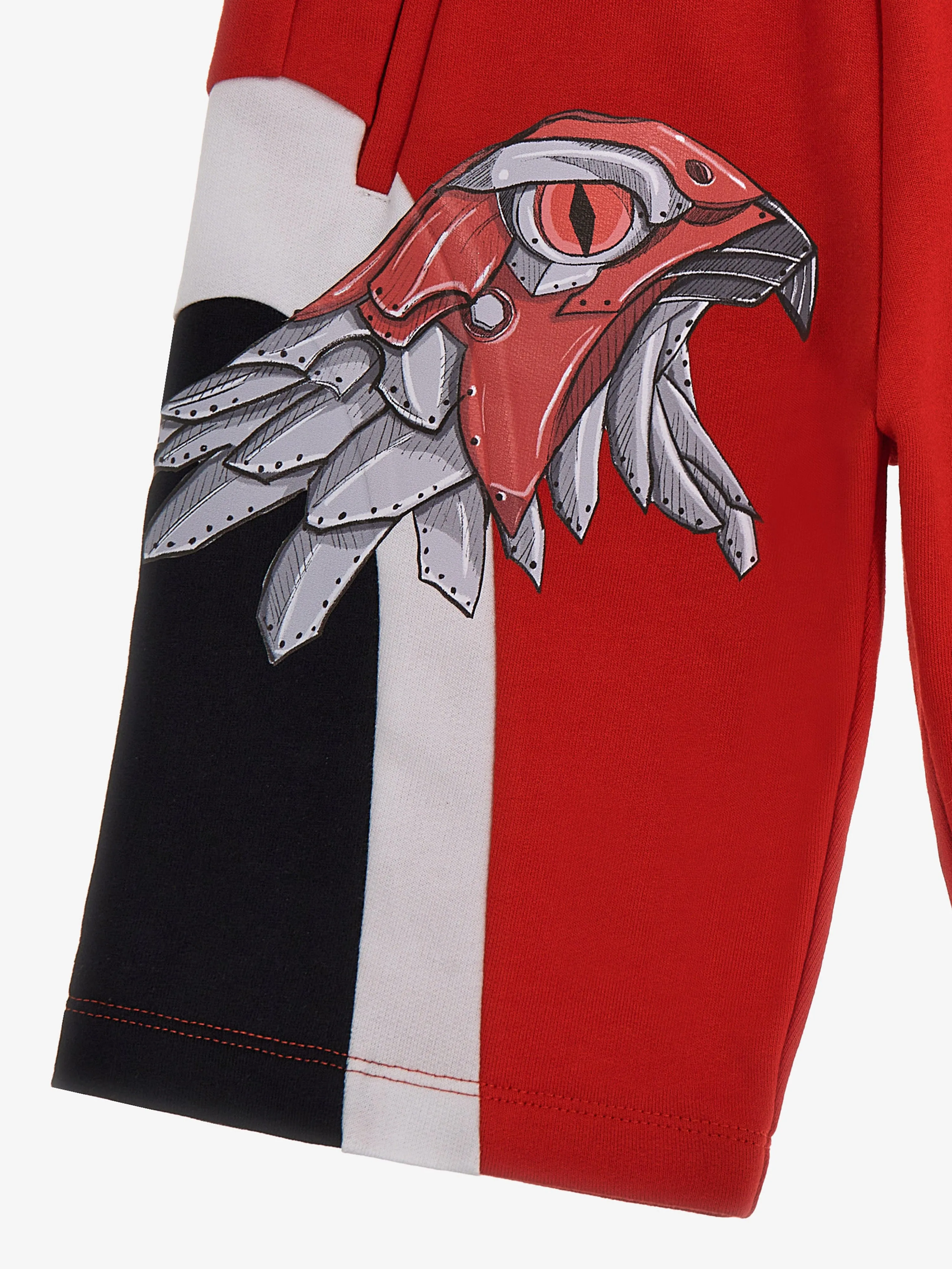 Roberto Cavalli Jungen Adler Shorts in Rot