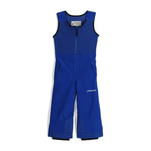 Spyder Expedition Isolierte Skihose Blau Spyder